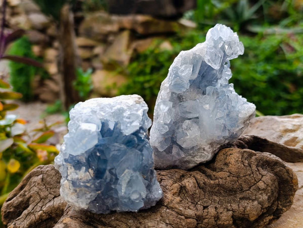 Natural Blue Celestite Crystal Specimens x 6 From Sakoany, Madagascar