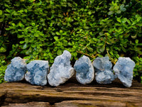Natural Blue Celestite Crystal Specimens x 6 From Sakoany, Madagascar
