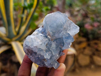 Natural Blue Celestite Crystal Specimens x 6 From Sakoany, Madagascar