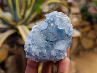 Natural Blue Celestite Crystal Specimens x 6 From Sakoany, Madagascar