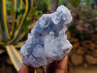 Natural Blue Celestite Crystal Specimens x 6 From Sakoany, Madagascar
