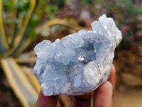 Natural Blue Celestite Crystal Specimens x 6 From Sakoany, Madagascar