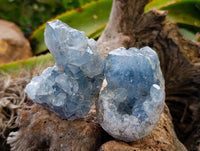 Natural Blue Celestite Crystal Specimens x 6 From Sakoany, Madagascar
