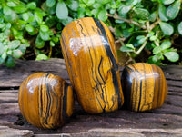Polished Golden Tiger's Eye Free Forms x 3 From Prieska, South Africa