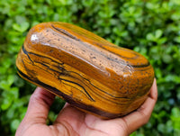 Polished Golden Tiger's Eye Free Forms x 3 From Prieska, South Africa