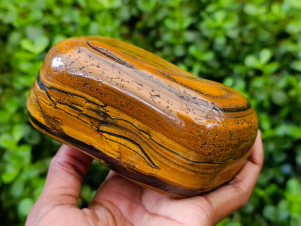 Polished Golden Tiger's Eye Free Forms x 3 From Prieska, South Africa