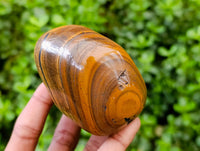Polished Golden Tiger's Eye Free Forms x 3 From Prieska, South Africa