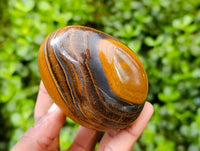 Polished Golden Tiger's Eye Free Forms x 3 From Prieska, South Africa
