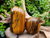 Polished Golden Tiger's Eye Free Forms x 3 From Prieska, South Africa