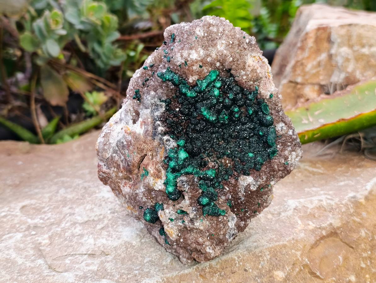 Natural Ball Malachite On Dolomite Matrix Specimens x 1 From Kambove, Congo - Toprock Gemstones and Minerals 