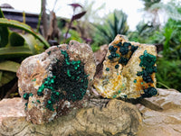 Natural Ball Malachite On Dolomite Matrix Specimens x 1 From Kambove, Congo