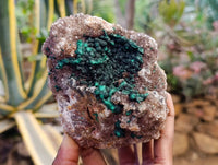 Natural Ball Malachite On Dolomite Matrix Specimens x 1 From Kambove, Congo