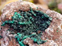 Natural Ball Malachite On Dolomite Matrix Specimens x 1 From Kambove, Congo