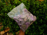 Natural Stichtite Specimens x 1 Lot From Barberton, South Africa