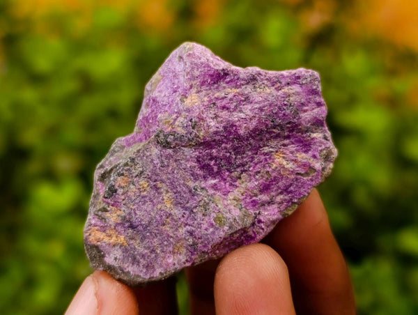 Natural Stichtite Specimens x 1 Lot From Barberton, South Africa