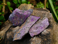 Natural Stichtite Specimens x 1 Lot From Barberton, South Africa