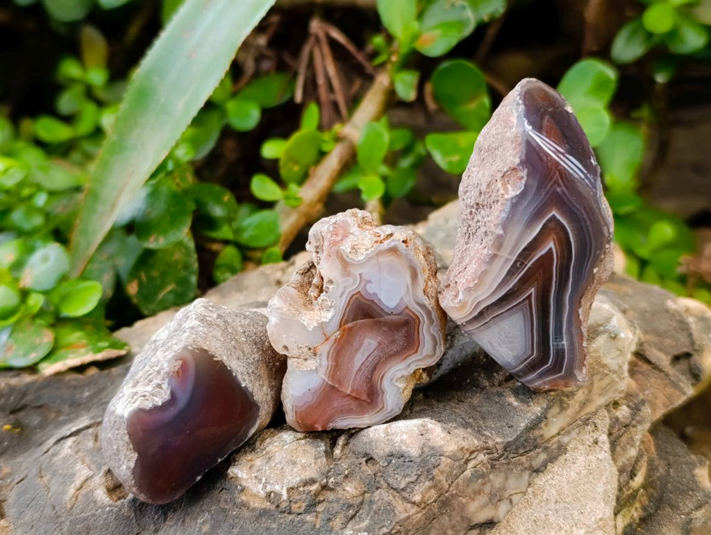 Polished On One Side, Sashe River Agate Nodules x 28 From Zimbabwe - Toprock Gemstones and Minerals 
