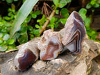 Polished On One Side, Sashe River Agate Nodules x 28 From Zimbabwe - Toprock Gemstones and Minerals 