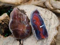 Polished On One Side, Sashe River Agate Nodules x 28 From Zimbabwe