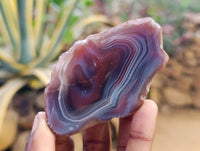 Polished On One Side, Sashe River Agate Nodules x 28 From Zimbabwe
