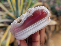 Polished On One Side, Sashe River Agate Nodules x 28 From Zimbabwe