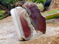 Polished On One Side, Sashe River Agate Nodules x 28 From Zimbabwe