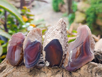 Polished On One Side, Sashe River Agate Nodules x 28 From Zimbabwe