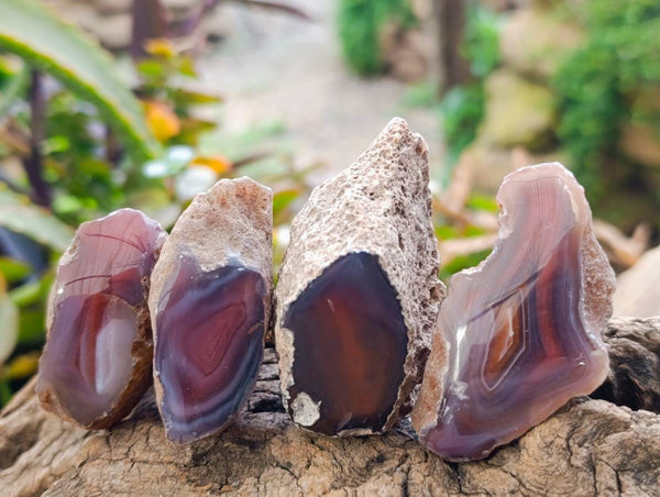 Polished On One Side, Sashe River Agate Nodules x 28 From Zimbabwe