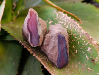 Polished On One Side, Sashe River Agate Nodules x 28 From Zimbabwe
