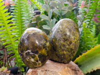 Polished Green Opal Standing Free Forms x 6 From Antsirabe, Madagascar