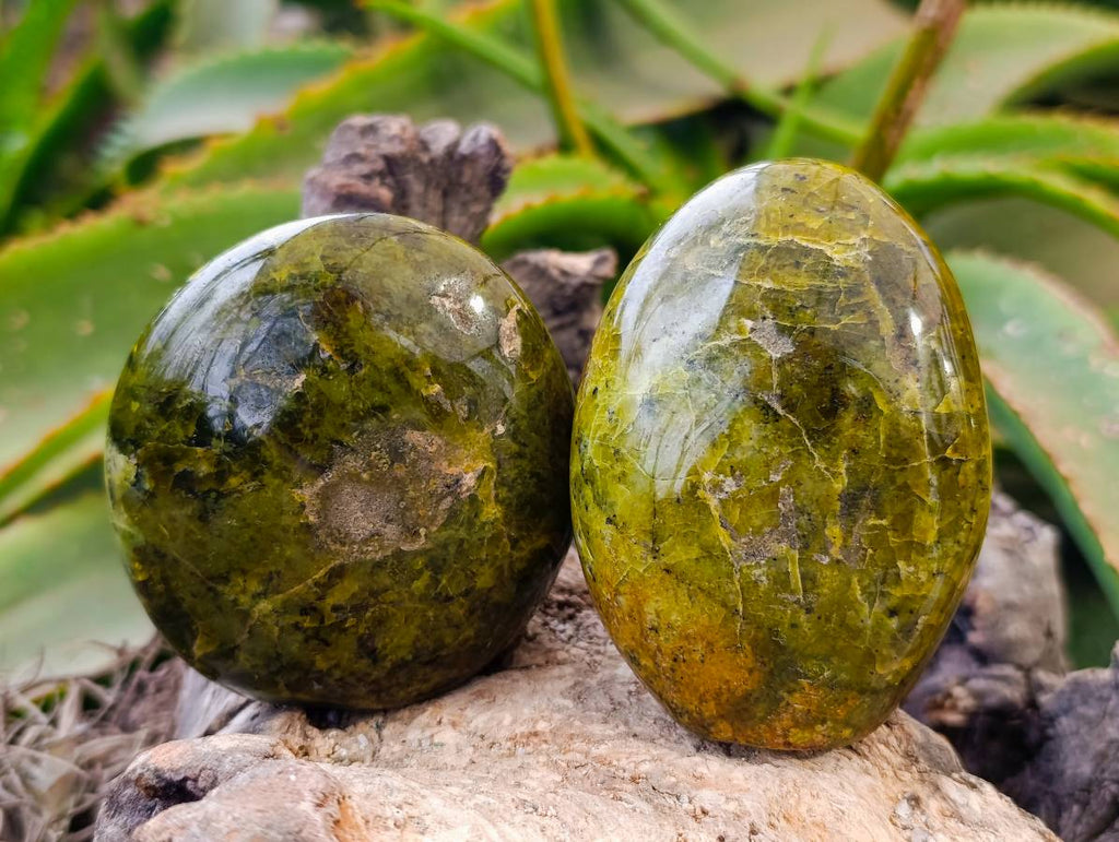 Polished Green Opal Standing Free Forms x 6 From Antsirabe, Madagascar - Toprock Gemstones and Minerals 
