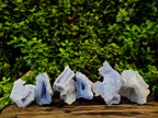 Natural Etched Blue Chalcedony Geodes x 6 From Nsanje, Malawi - Toprock Gemstones and Minerals 