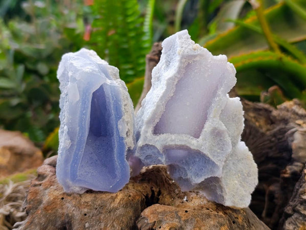 Natural Etched Blue Chalcedony Geodes x 6 From Nsanje, Malawi