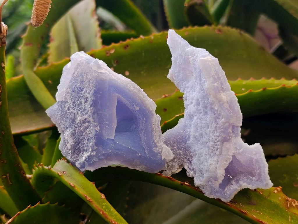 Natural Etched Blue Chalcedony Geodes x 6 From Nsanje, Malawi - Toprock Gemstones and Minerals 