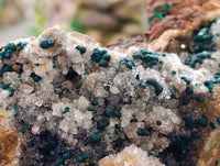 Natural Ball Malachite On Dolomite Matrix Specimens x 1 From Kambove, Congo