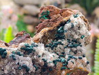 Natural Ball Malachite On Dolomite Matrix Specimens x 1 From Kambove, Congo