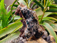 Natural Ball Malachite On Dolomite Matrix Specimens x 1 From Kambove, Congo