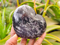 Polished Gabbro 'Merlinite' Hearts x 2 From Madagascar