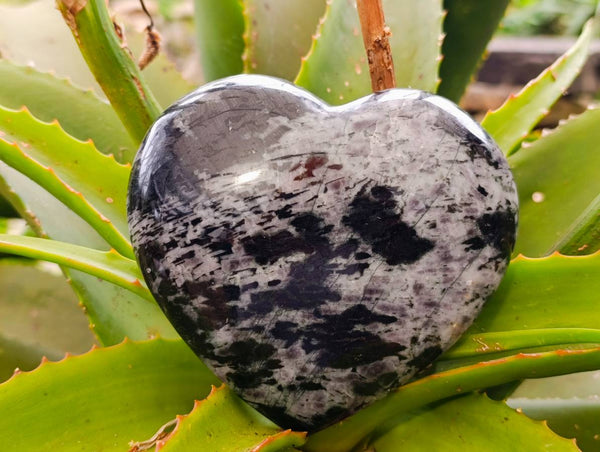 Polished Gabbro 'Merlinite' Hearts x 2 From Madagascar