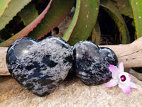 Polished Gabbro 'Merlinite' Hearts x 2 From Madagascar