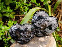 Polished Gabbro 'Merlinite' Hearts x 2 From Madagascar
