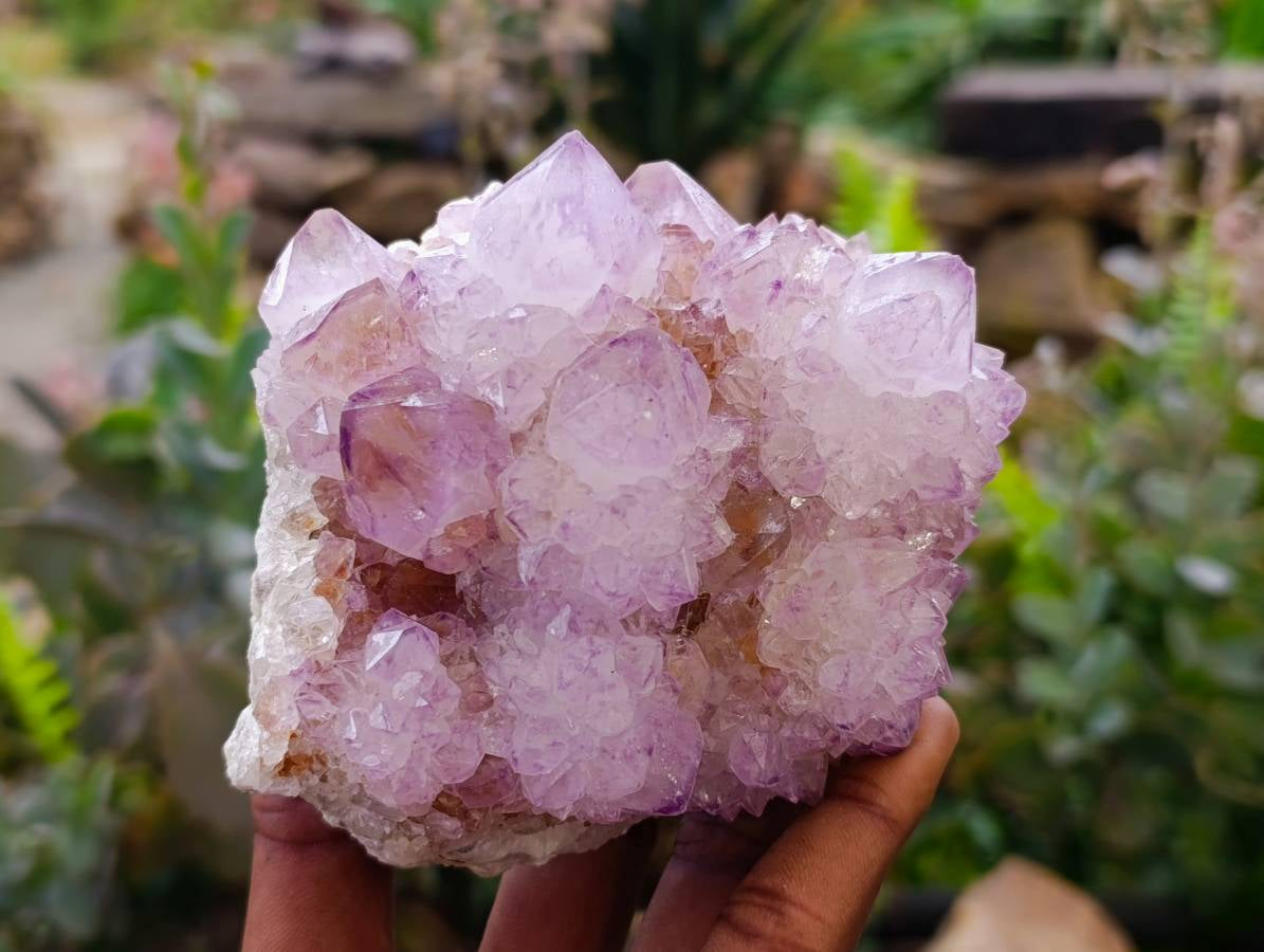 Natural Amethyst Spirit Quartz Clusters x 3 From Boekenhouthoek, South Africa - Toprock Gemstones and Minerals 