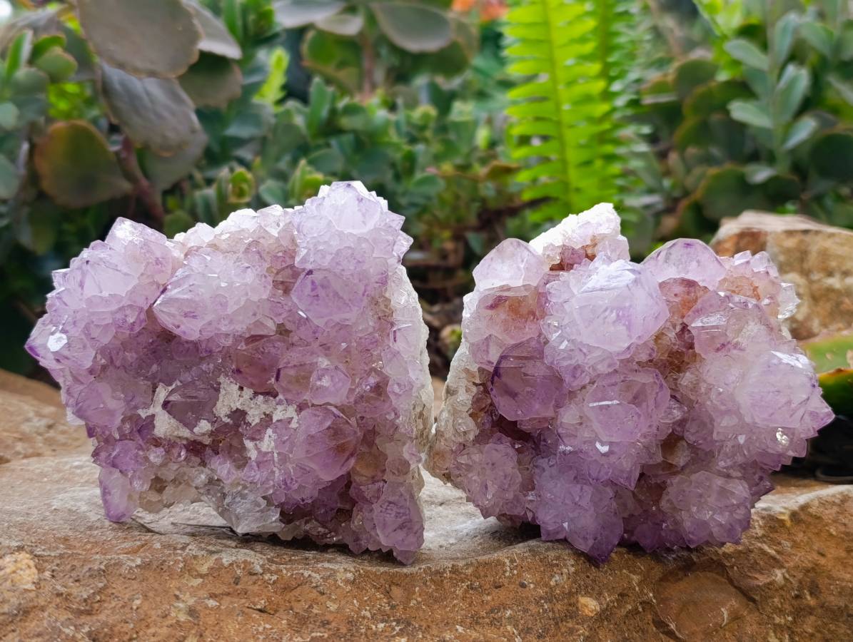 Natural Amethyst Spirit Quartz Clusters x 3 From Boekenhouthoek, South Africa - Toprock Gemstones and Minerals 