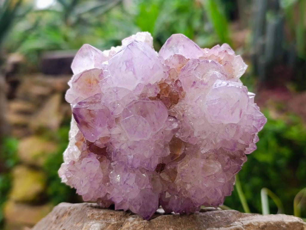 Natural Amethyst Spirit Quartz Clusters x 3 From Boekenhouthoek, South Africa - Toprock Gemstones and Minerals 