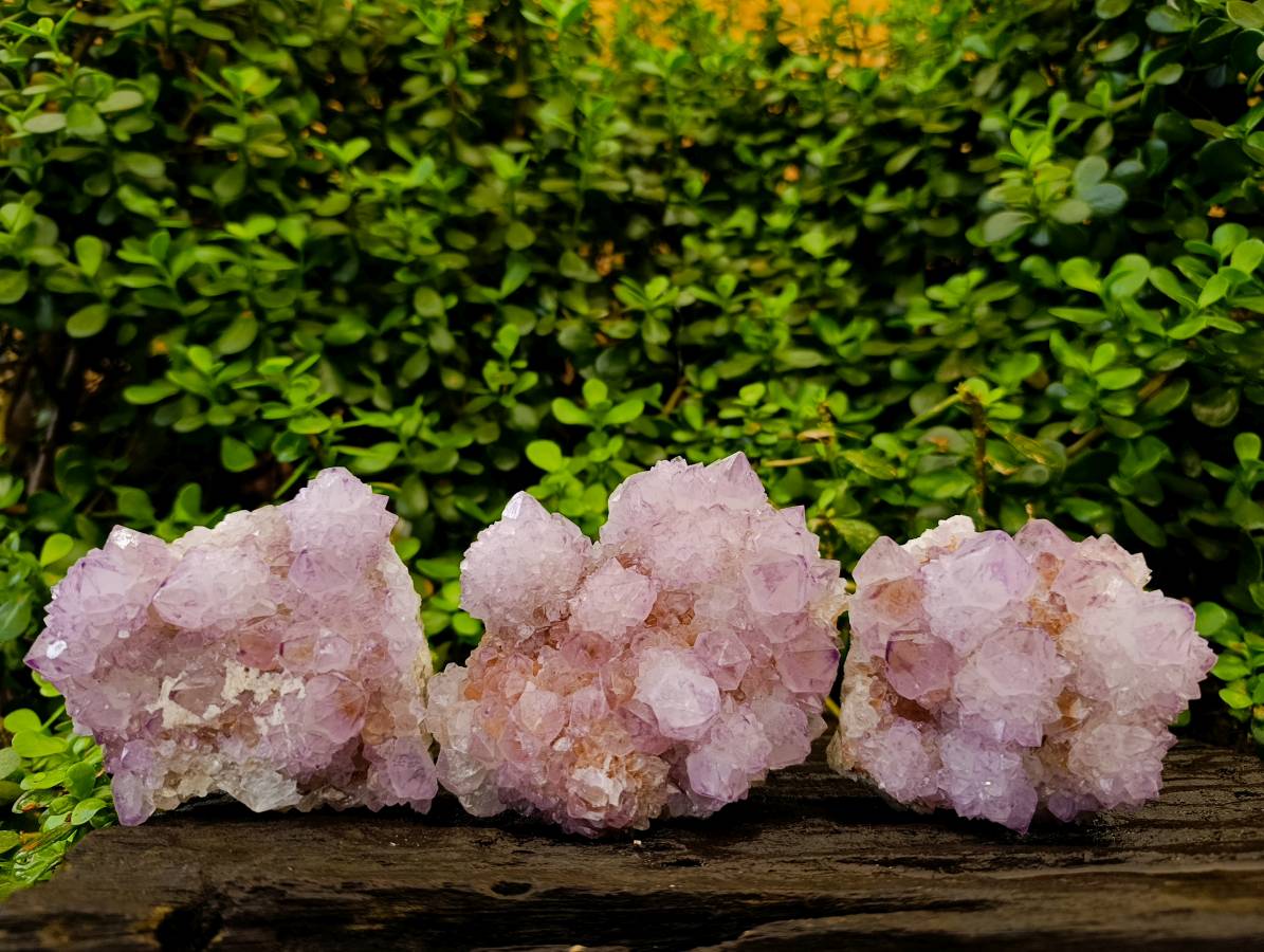 Natural Amethyst Spirit Quartz Clusters x 3 From Boekenhouthoek, South Africa - Toprock Gemstones and Minerals 