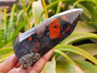 Polished Bloodstone Points x 3 From Swaziland