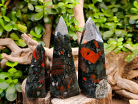 Polished Bloodstone Points x 3 From Swaziland