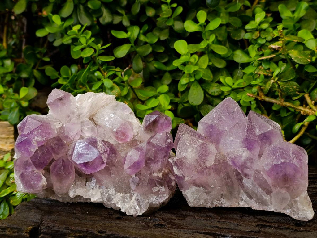 Natural Jacaranda Amethyst Quartz Crystals x 2 From Mumbwa, Zambia - Toprock Gemstones and Minerals 