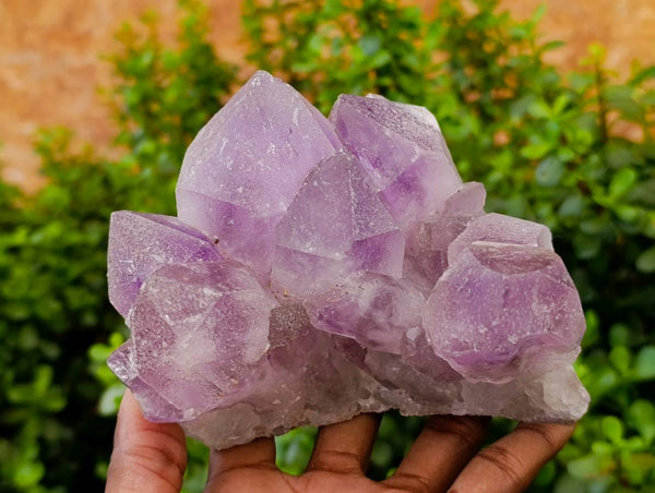 Natural Jacaranda Amethyst Quartz Crystals x 2 From Mumbwa, Zambia