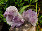 Natural Jacaranda Amethyst Quartz Crystals x 2 From Mumbwa, Zambia - Toprock Gemstones and Minerals 